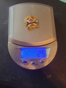 Scrap Gold 10k Gold PENDENT PIN AMERICAN GOLD **UNTESTED**2.50Grams NO RETURNS 