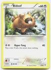 Pokemon Bidoof 12/30 XY trainer Kit Bisharp MP [CV5WEE]
