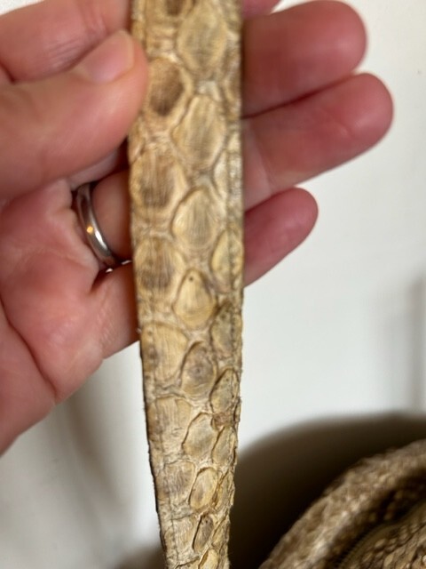 Genuine python purse/bag. Unique custom made genu… - image 8