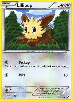 Pokemon - Lillipup - 80/114 - Black and White - Common - Near Mint