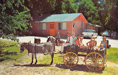 #ad #ad 1969 Camp Landa New Braunfels TX Mule Buggy Ride MINT Postcard N9 $20.00