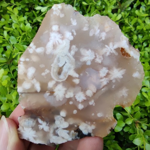 41G losa mineral natural sin pulir flor de cerezo ágata forma libre 4844 - Imagen 4 de 12