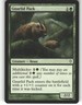 Gnarlid Pack - Worldwake - MTG - Common - #101 - NM