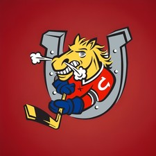 2002-03 Barrie Colts Hockey Colts & Cops Team Issued Trading Cards OHL