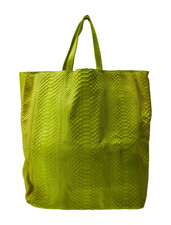 Celine Python Vertical Cabas Est. Retail $3,000