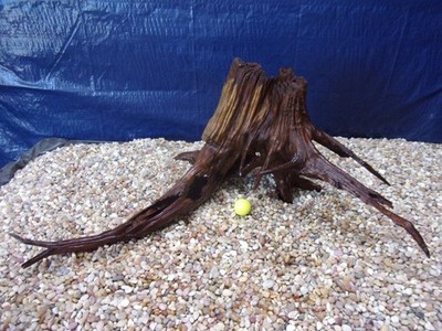 XXX-Large Driftwood 14''x33''x18'' Aquarium Terrarium Reptile Natural Art