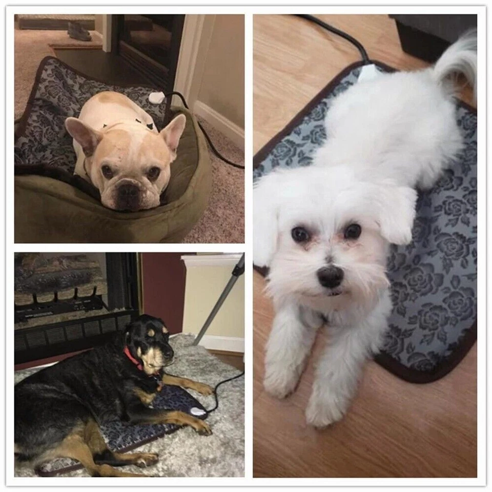 Electric Pet Heating Pad for Dogs & Cats, Indoor Warmer Bed Mat, 5 Sizes - Image 4 of 4