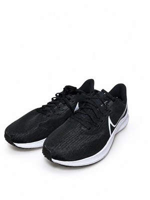 Nike Air Zoom Pegasus 39