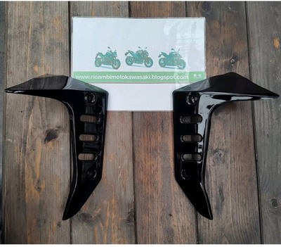KÜHLER FLANKEN FAIRING KÜHLER KAWASAKI Z750
