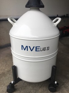 chart mve lab 30 liquid nitrogen cryogenic storage dewar flask 30 chart cryogenic