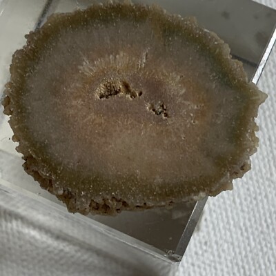 Stalactite Slice Polished Crystal Display Specimen Las Torres Mine Uruguay 1.4 