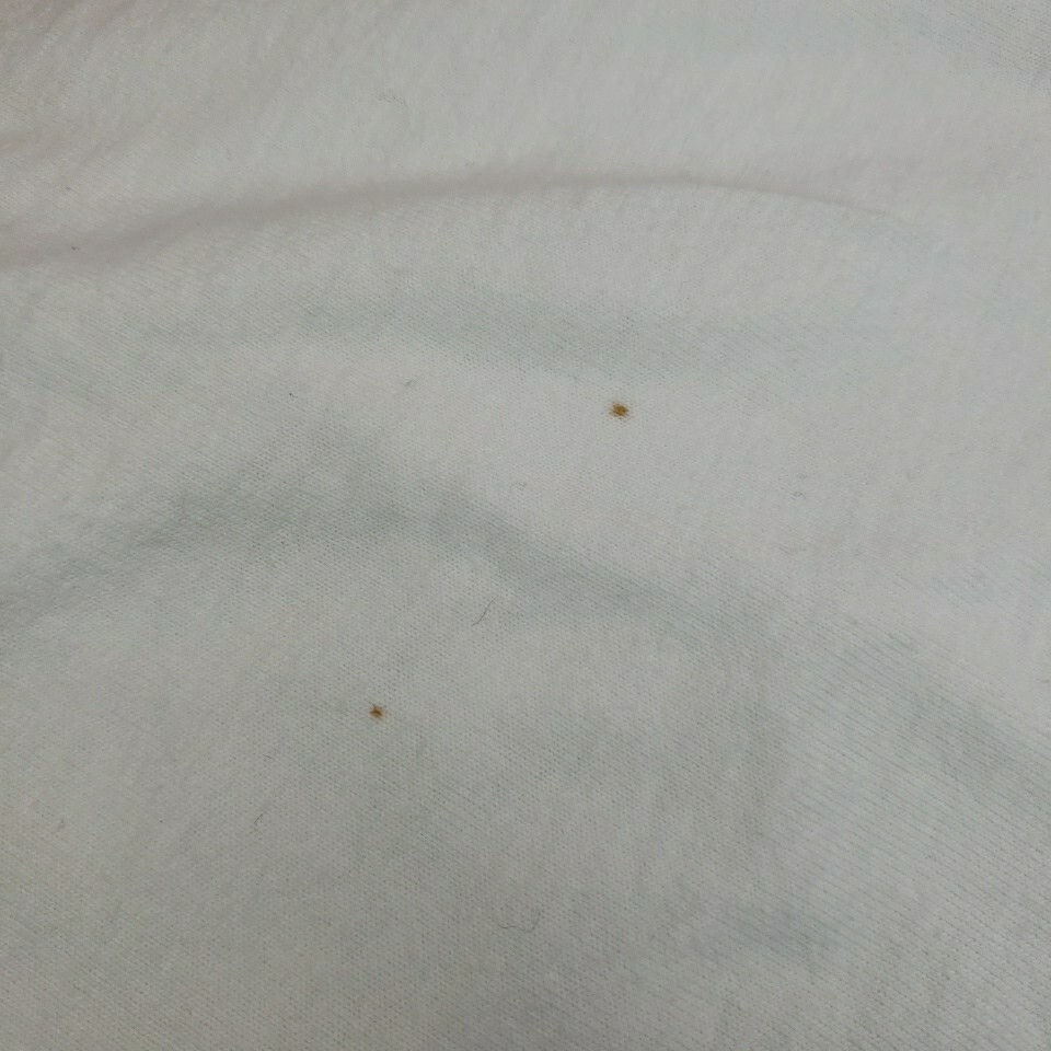 Picture 10 of 11