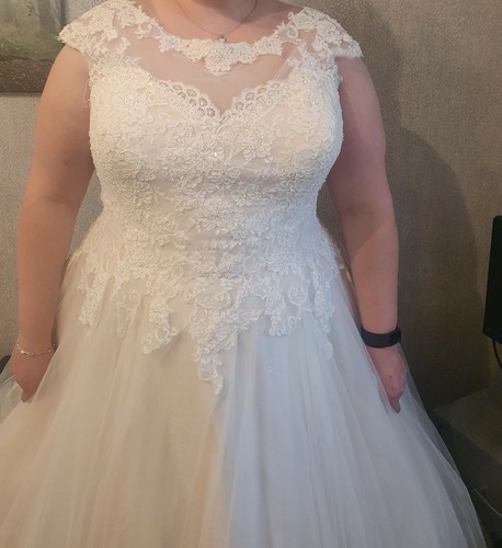 Champagne coloured wedding dress - Bridal size 24 / High St size 20 - Picture 6 of 6