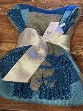 New York & Company Womens Scarf Blue Multi Shades Color Block New With Fringe