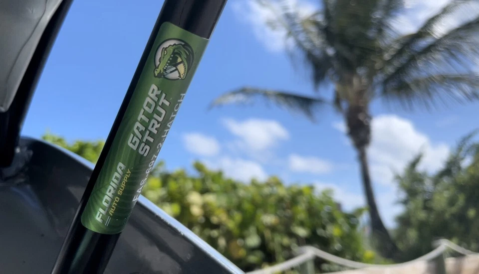 2 soportes de elevación de puerta levadiza trasera puntal FAS-311 para: Toyota Previa 1999-1997 Foto 2 de 4