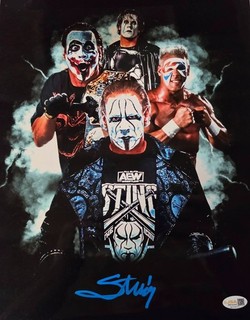 WCW TNA WWE AEW THE ICON STING SIGNED 11X14 METALLIC JSA CERT!!