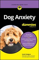 Dog Anxiety For Dummies | Sarah Hodgson | Taschenbuch | Englisch | 2024