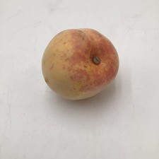 Artificial Fruit Faux Fake Food Peach Stage Display Prank Movie PROP PCH17