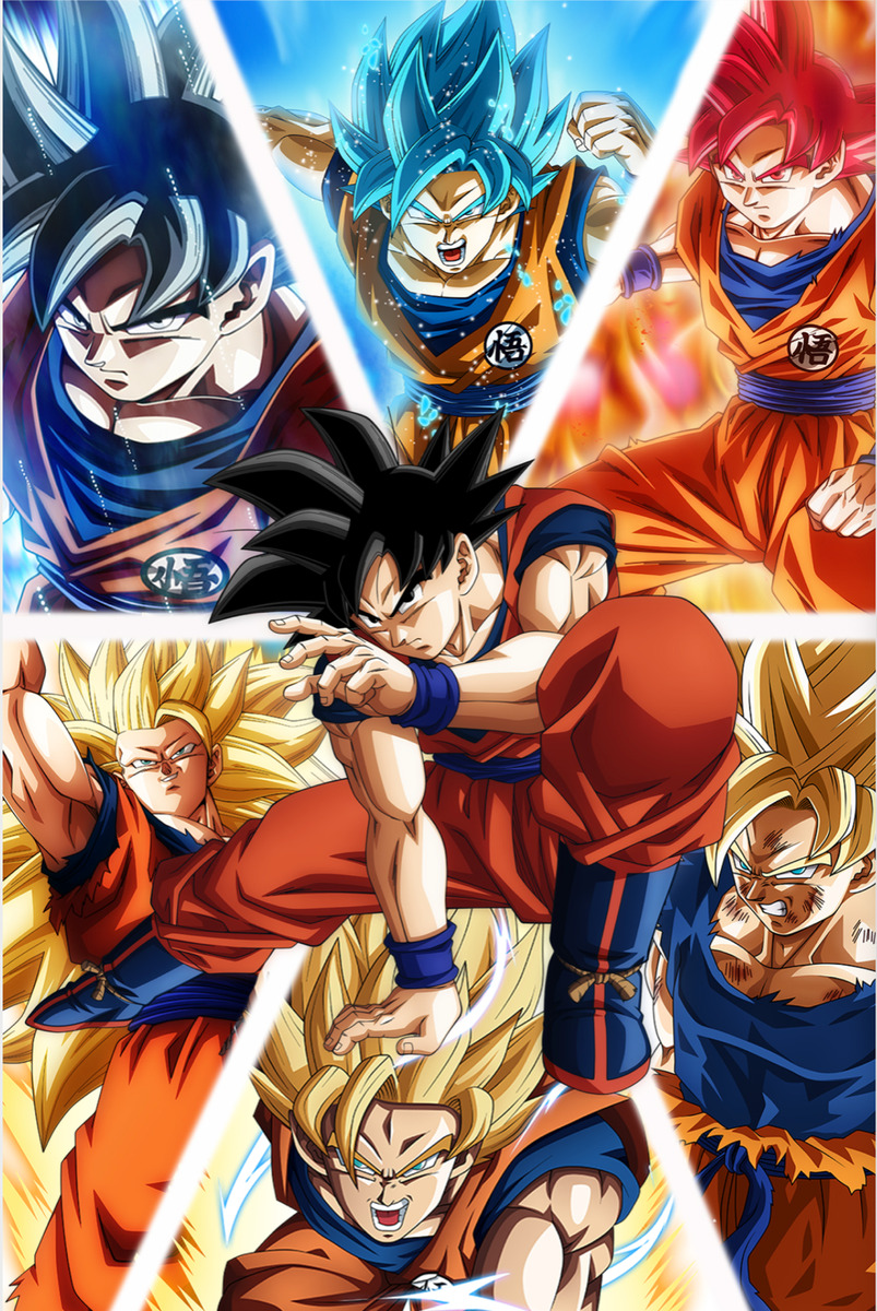 Dragon Ball Super Poster Goku and Vegeta SSJ/Blue/God 12inx18in