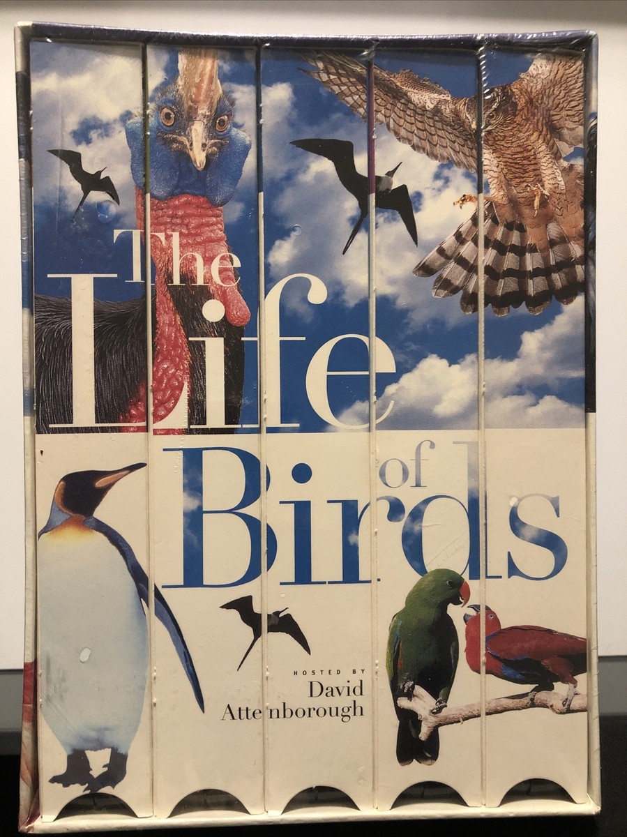 その他 Life of Birds [VHS] NOS The Life Of Birds VHS Set Narrated By David Attenborough
