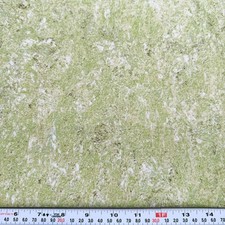 Stonehenge by Sunshine Cottage Northcott Green Cotton Fabric HALF YARD Remnant