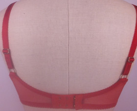 L'Agent By Agent Provocateur Red Ultra Sheer Seductive Underwired Bra Size 34 DD