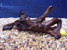 Medium Driftwood 07"x16"x07" Aquarium Terrarium Reptile Natural Art