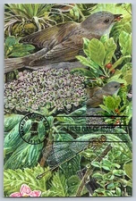 #4474a-j Hawaiian Rain Forest Set of 10 FDC Maxi Cards
