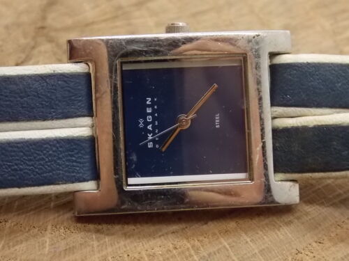 Damas Skagen Dinamarca Acero Inoxidable Esfera Azul Reloj de Pulsera Funcionando pero sin Estuche Back - Imagen 2 de 3