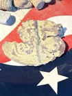 Dug Civil War 💥 🇺🇸 💣  US Buckle Skin