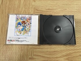 Dragon Master Silk SEGA SATURN Japan - FJ4691