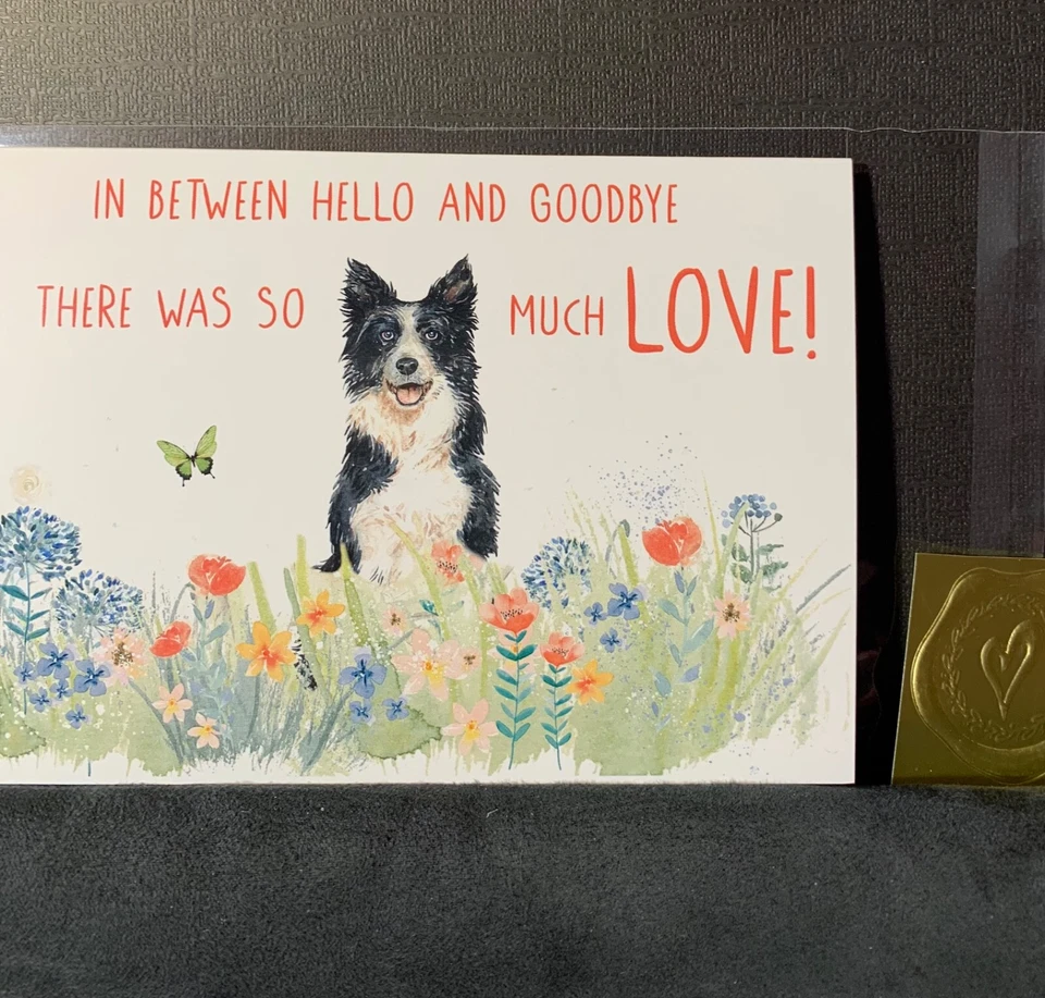 Tarjeta de felicitación condolencias de simpatía pérdida de mascota perro mucho amor Foto 3 de 3