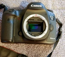 Canon EOS 5D Mark II 21.1 MP Digital SLR Camera - Black (Backpack Included) 