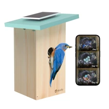 Birdfy Smart Bird Houses With 1080P HD Bird Feeder Camera, Perfect Viewing Bird