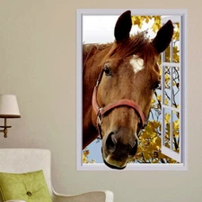 Horse Outside The Window - Wall Mural Sticker. 22W x 28H inches