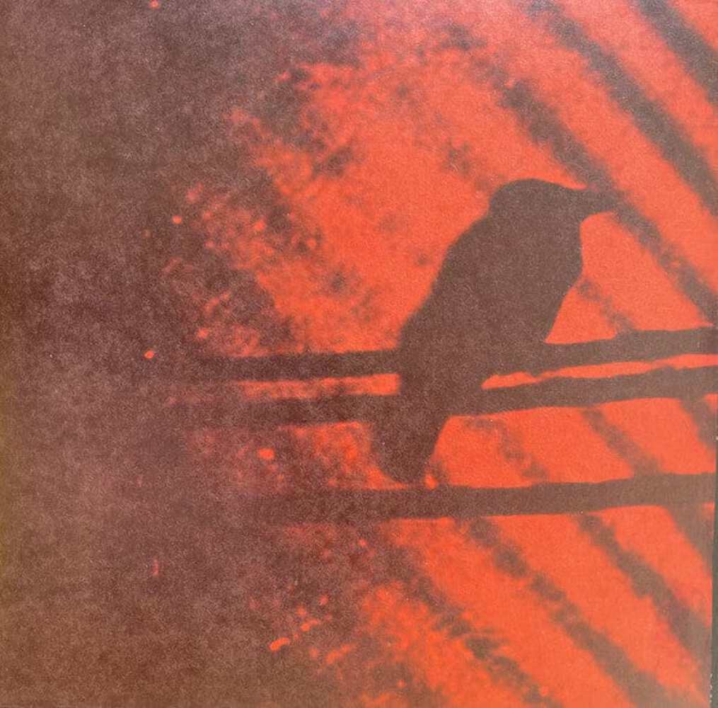 The Silver Mt. Zion Memorial Orchestra & Tra-la-la Band