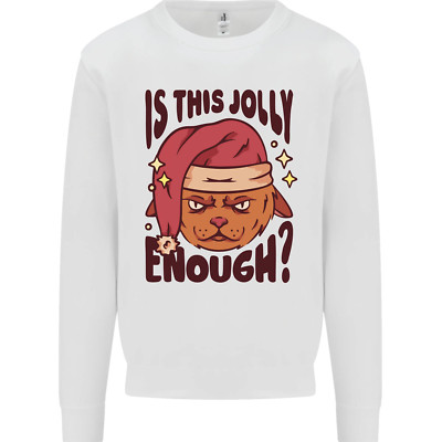 Christmas Cat Is This Jolly Enough lustig Kinder Sweatshirt Pullover