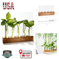 Plant Propagation Station with Wooden Stand, Borosilicate Test Tubes for Indoor
