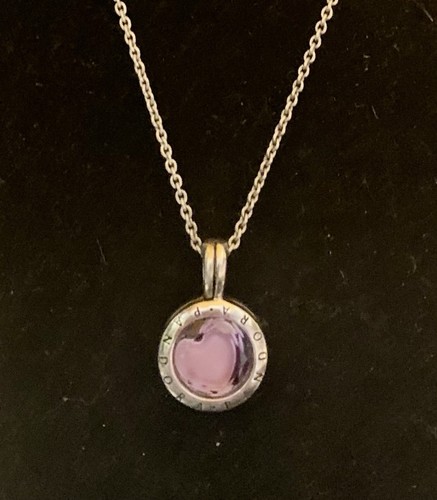 Pandora Moments Collection S925 ALE Locket Necklace