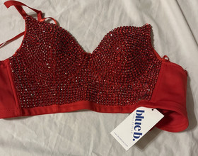 Victoria Secret & Other brands Bra Lot of   50+ All Sizes Sexy Sport