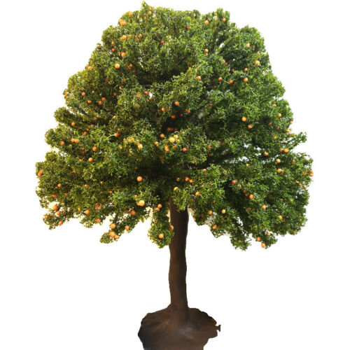 HO/OO Scale Miniatures Fruit Trees Landscape Farm Plants Railway Scenery Model - Picture 5 of 7