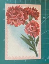 Antique 1909 Red Carnations Flowers Postcard 