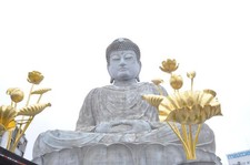 [Tested!/Opt NM] Nikon Ai Nikkor 18mm f/4 #2427 MF Wide Angle Lens F Mount JAPAN