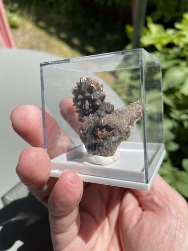 Dogtooth Calcite-Ojuela Mine, Mexico W/display Box 20g Old Stock