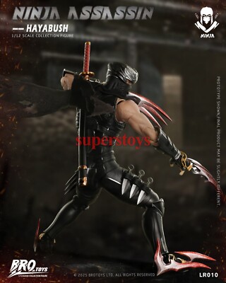 BROTOYS LR010 1/12 Ninja Assassin Falcon 6
