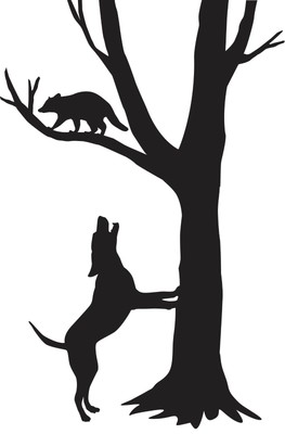 treeing a coon