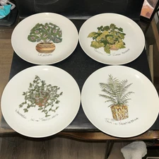 Vintage Set of 4 Plant Study 8” Plates Enesco Japan Fine China Tolmiea Menziessi