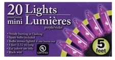 New Halloween String Mini Lights 5ft ~ Purple 