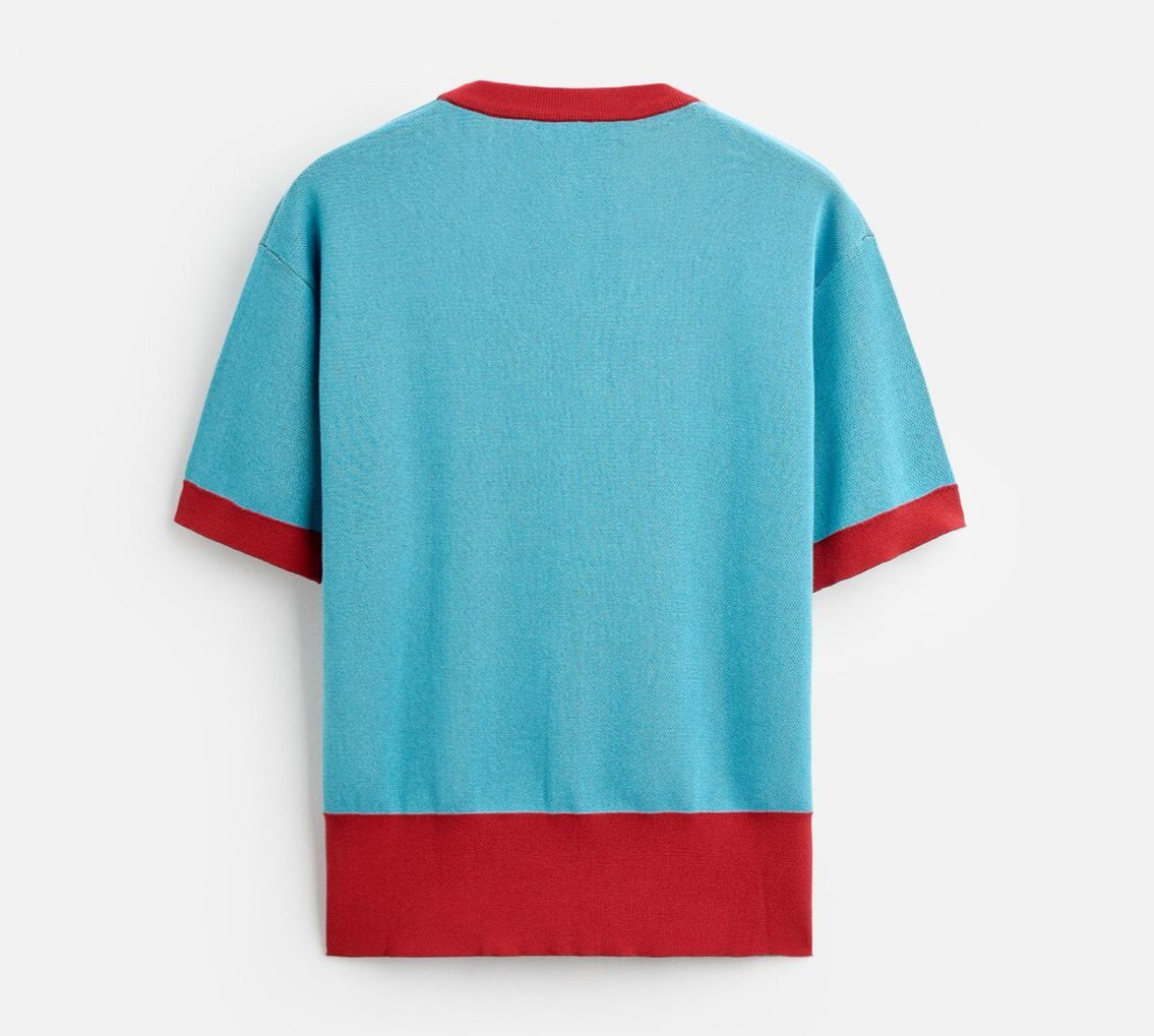 Rare NEW Limited Edition ZARA x Harry Lambert Statement Knit Top T