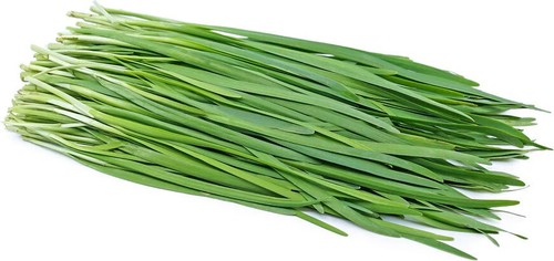 Herb Chives Garlic Chinese 150 seeds 韭菜 - Picture 2 of 3
